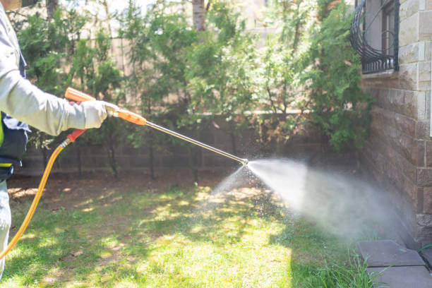 Professional Pest Control in Ingram, TX